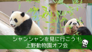 シャンシャンを見に行こう！上野動物園オフ会