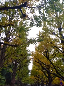 【新宿→恵比寿】全力で秋を楽しむお散歩会！